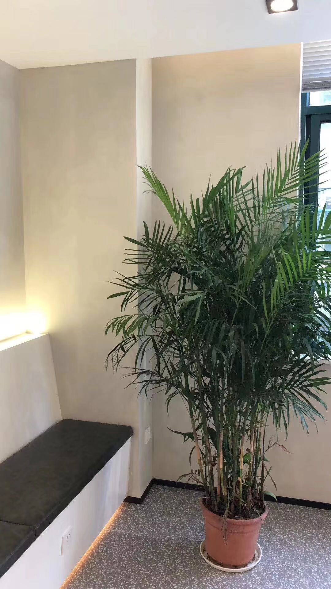  民宿稻草漆哪家好-天工涂料當(dāng)之無愧